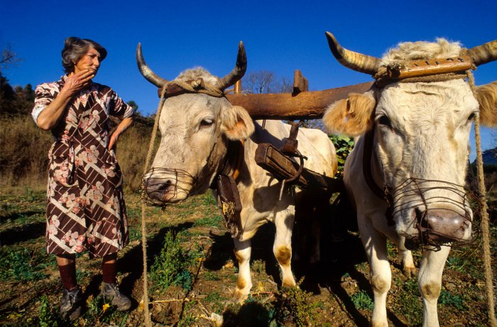 Catalan Rural People